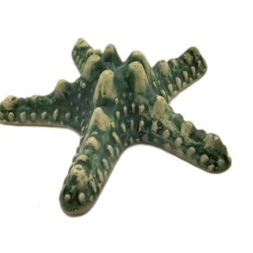 Фото1.Зірка